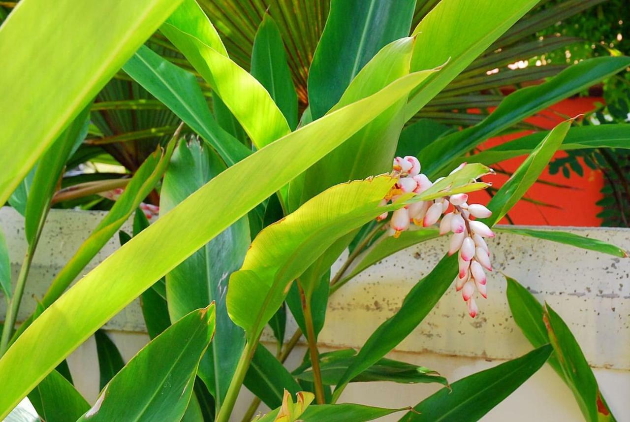 House Sea View Private Garden, 5 People, Optical Fiber Villa Puerto de la Madera Esterno foto